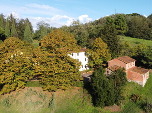 Azienda agricola a Capannori