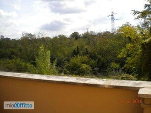 Bilocale arredato con terrazzo Nuovo salario, prati fiscali, monte sacro, talenti, vigne nuove, serpentara