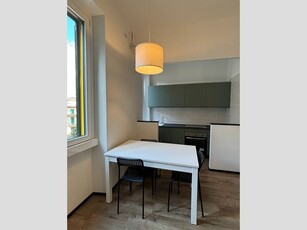 Monolocale in Affitto a Milano, zona Certosa, 650€, 36 m², arredato