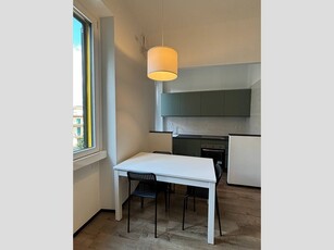 Monolocale in Affitto a Milano, zona Certosa, 750€, 36 m², arredato