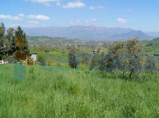 Terreno agricolo in vendita in Via Bosco Di Caiazzo Di Sopra, Caiazzo