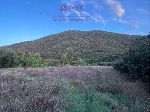 Terreno non edificabile in Sp146, Rocchetta e Croce (CE)