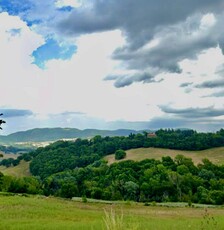 Azienda Agricola in vendita a San Severino Marche