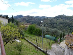 Casa indipendente con terrazzo, Camaiore colline