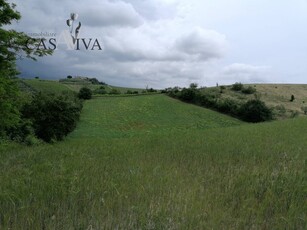 Terreno Agricolo in vendita a Acquaviva Picena - Zona: Forola