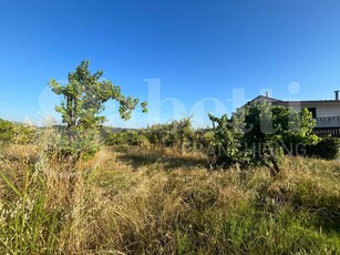 Terreno Agricolo in vendita a Alife