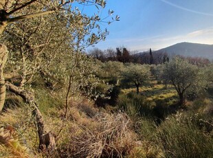 Terreno agricolo in vendita a Bagno A Ripoli