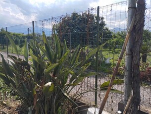 Terreno Agricolo in vendita a Calatabiano