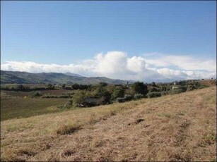 Terreno Agricolo in vendita a Castignano