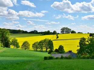 Terreno Agricolo in vendita a Cisterna d'Asti