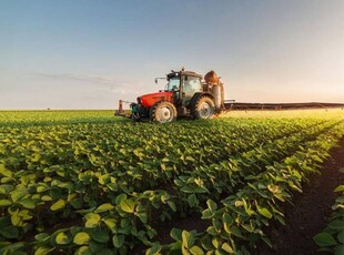 Terreno Agricolo in vendita a Fermo