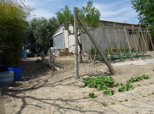 Terreno Agricolo in vendita a Fermo