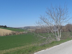 Terreno Agricolo in vendita a Fermo