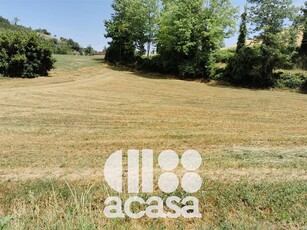 Terreno agricolo in vendita a Mercato Saraceno