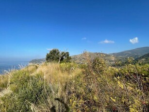 terreno agricolo in vendita a Montecorice