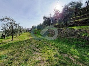 Terreno agricolo in vendita a Puegnago Sul Garda