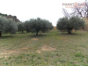 Terreno Agricolo in vendita a San Benedetto del Tronto