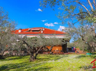 Villa in vendita a Castel Gandolfo