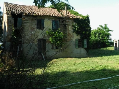 terreno agricolo in vendita a Albaredo d'Adige