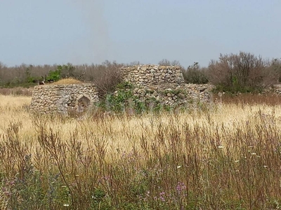 terreno agricolo in vendita a Consiglio di Rumo