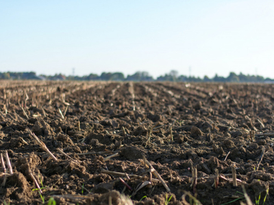 terreno residenziale in vendita a Borgo Veneto