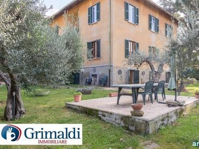 Appartamenti Grottaferrata Della Ginestra 2 cucina: Abitabile,