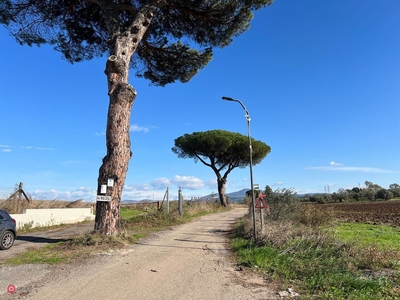 Capannone in Vendita in Via Ardeatina a Roma