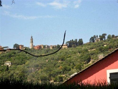 SANTA MARGHERITA PRIMA COLLINA vendiamo in piccolo contesto