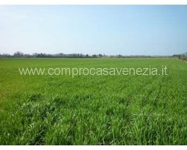Terreno agricolo in Vendita in Via Castellana a Venezia