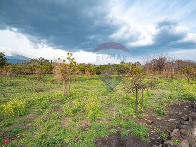 Terreno agricolo in Vendita in Via Esperia 3 a Acireale