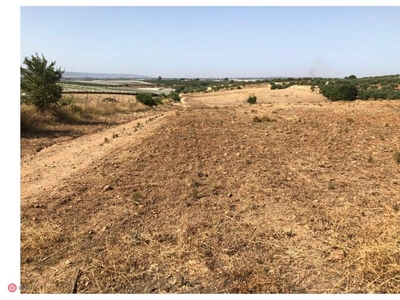 Terreno edificabile in Vendita in Strada senza nome a Licodia Eubea