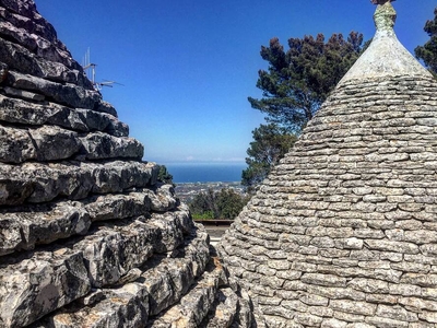 4 trulli nella pacifica oasi della Selva di Fasano.