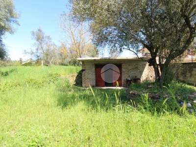 MORICONE: Rustico con terreno ampio e pianeggiante.