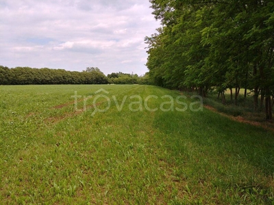 Terreno Agricolo in vendita a Riese Pio X via Prati del Sale, 4