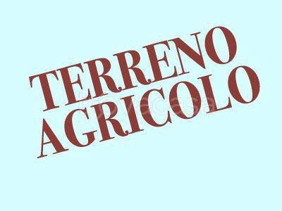 Terreno Agricolo in vendita a Roncade via dei tappi