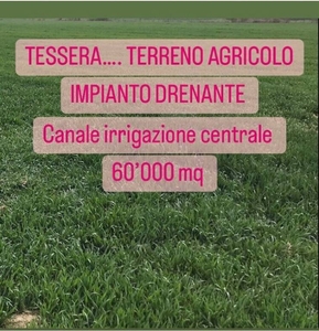 Terreno Agricolo in vendita a Venezia via Triestina
