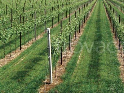 Terreno Agricolo in vendita a Villorba via Nazario Sauro