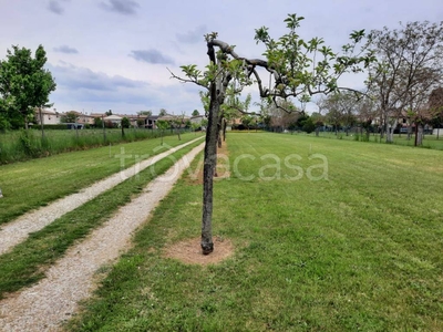 Terreno Residenziale in vendita a Vedelago piazza Generale Caviglia, 1A