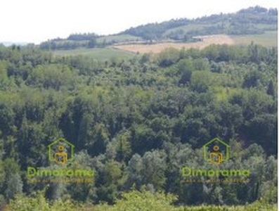 Vendita Terreno Agricolo in CESENA