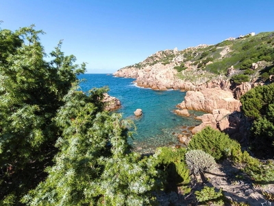 Villetta a schiera in Costa Paradiso, con terrazzo