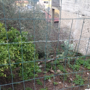 Terreno edificabile in via Vittorio Emanuele - Canicattini Bagni