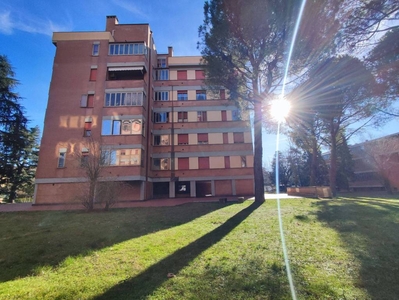 Appartamento in in vendita da privato a Imola via Villa Clelia, 62