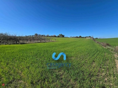 Terreno agricolo in Vendita in a Altamura