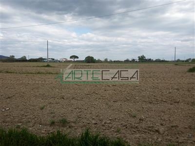 Terreno agricolo in buono stato di 7370 mq. a San Lorenzo A Pagnatico