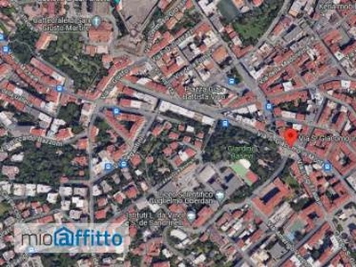 Attico arredato con terrazzo Trieste