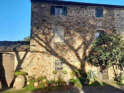 Azienda agricola in vendita 8 Stanze da letto a Roccastrada