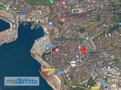 Bilocale arredato con terrazzo Trieste