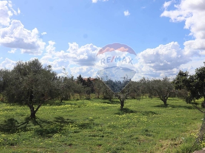 Casa in vendita 1 Stanza da letto a Motta Sant'anastasia