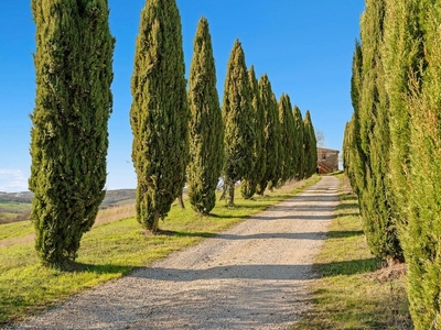 Esclusivo casale di 100 mq in vendita Strada Provinciale 14, Trequanda, Siena, Toscana