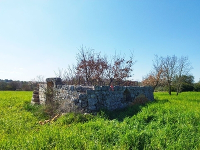 Lamia in vendita a Carovigno